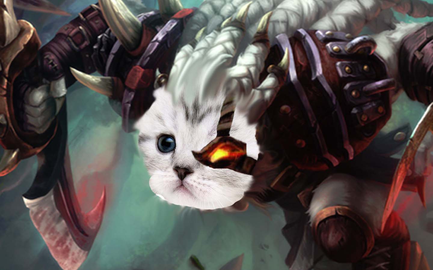 He is also kind of a kitten